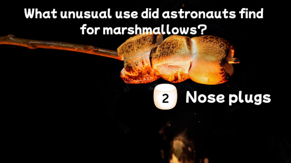 Marshmallow Madness image number 4